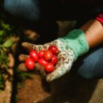 organic farming supplies