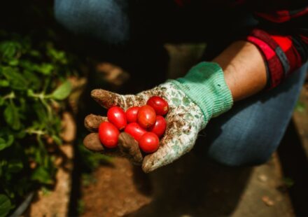 organic farming supplies