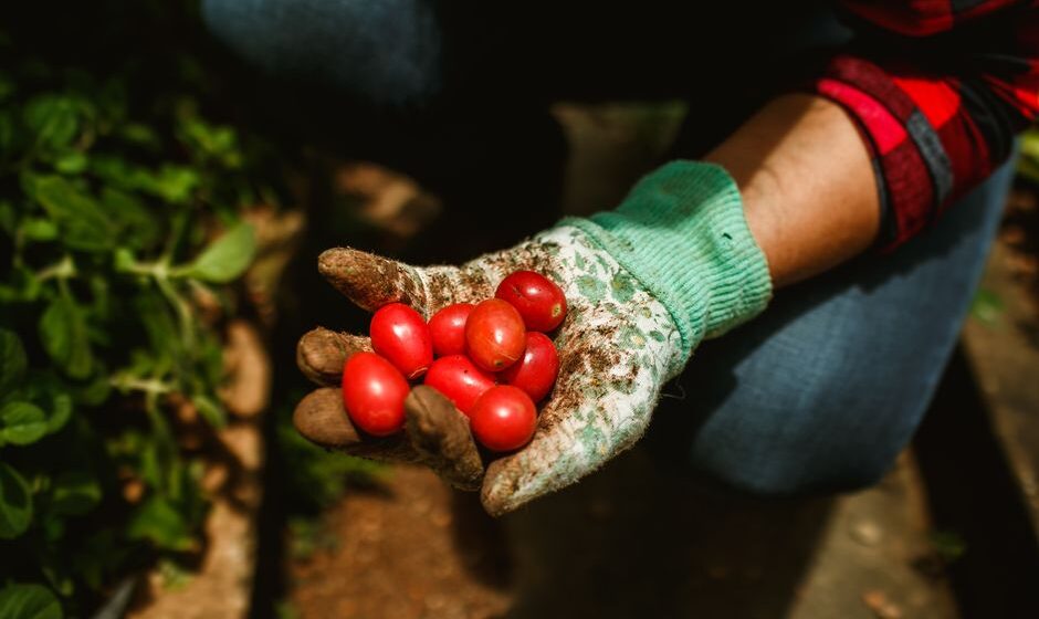 organic farming supplies