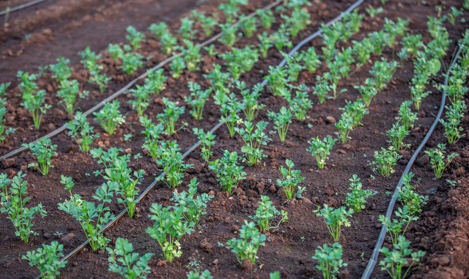irrigation system