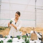 aquaponics kit