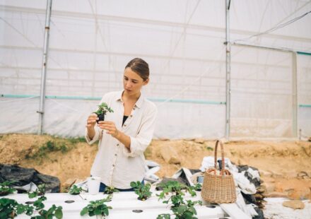 aquaponics kit