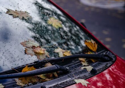 windshield replacement