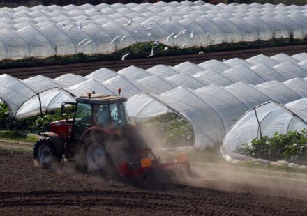 greenhouse equipment