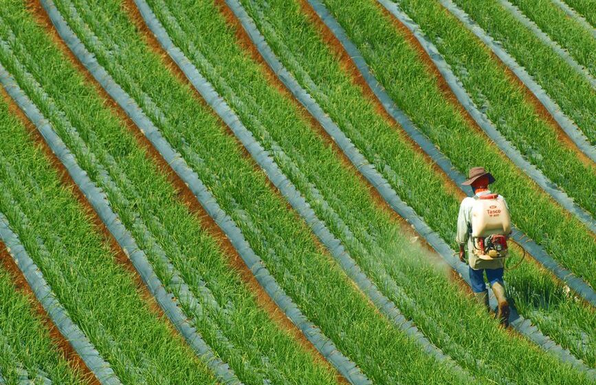 crop insurance