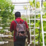 vertical farming technology