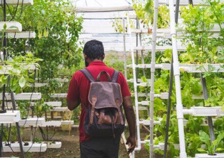 vertical farming technology