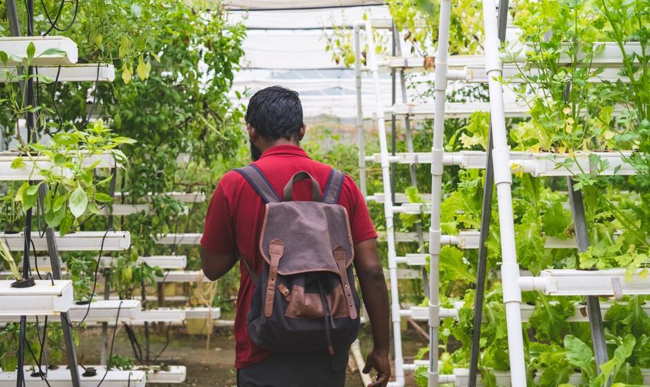 vertical farming technology