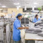 fabricante packaging personalizado