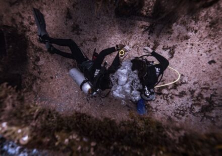 curso buceo certificación