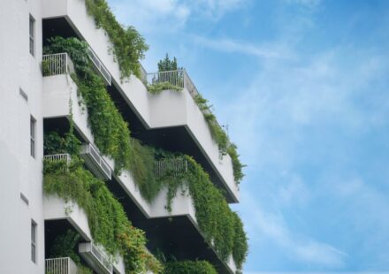 sustainable architecture firm